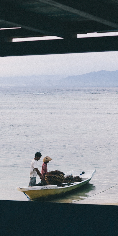 Bali-Sea-Weed-Farmers_400x800